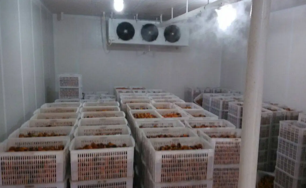 生鮮冷庫(kù)管理系統(tǒng)：專(zhuān)注于第三方生鮮冷庫(kù)管理